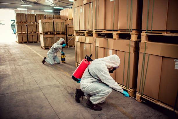 Best Best Pest Control Companies  in Woodland Beach, MI