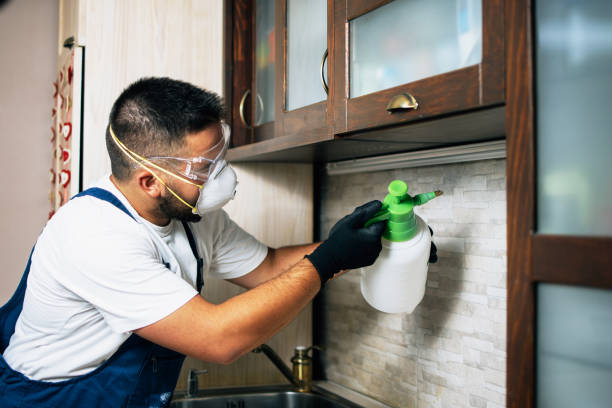 Best Ant Control Services  in Woodland Beach, MI