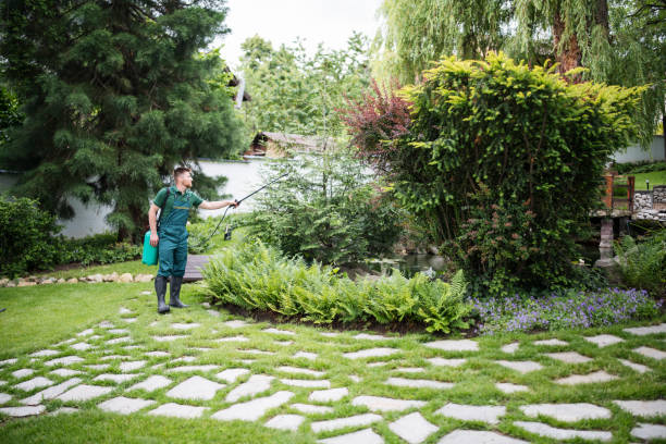 Best Best Pest Control Companies  in Woodland Beach, MI