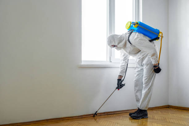 Best Bed Bug Extermination  in Woodland Beach, MI