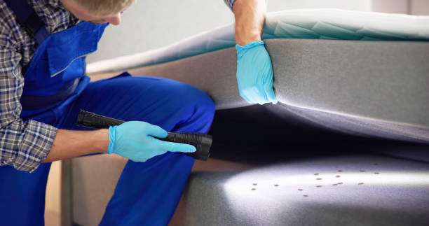 Best Bed Bug Extermination  in Woodland Beach, MI