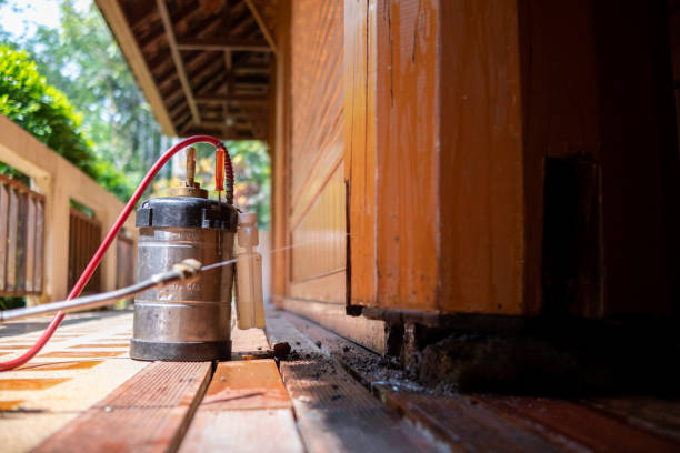 Best Residential Pest Control  in Woodland Beach, MI
