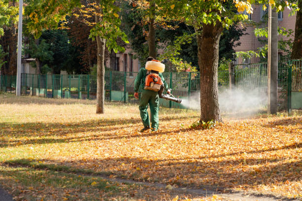 Best Affordable Pest Control Services  in Woodland Beach, MI