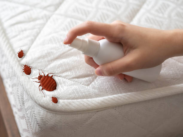 Best Exterminator Services  in Woodland Beach, MI