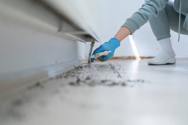 Best Pest Removal Services  in Woodland Beach, MI